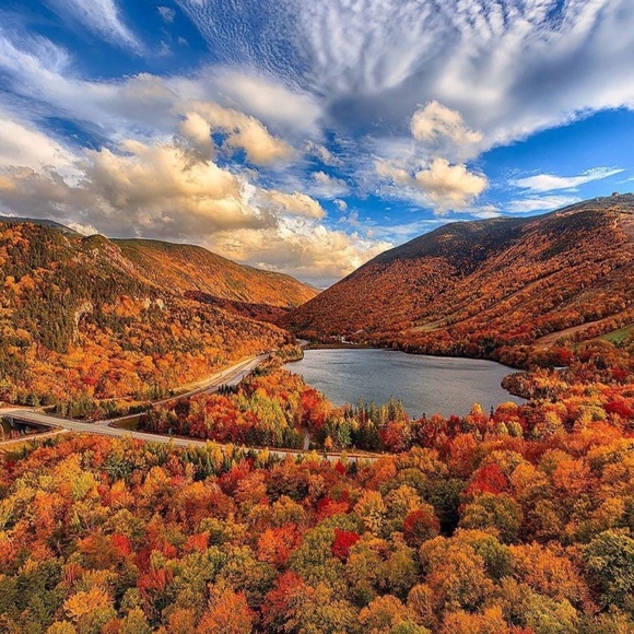 Meet your Posher, Michael - Picture 2 of 4